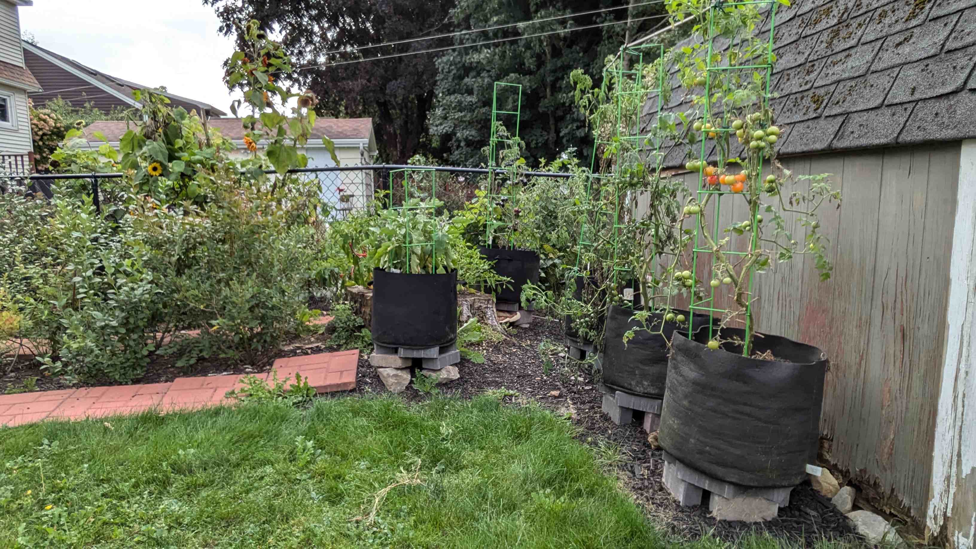 blueberry_garden_grd/index.html